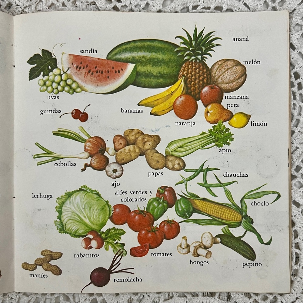 Vintage Spanish word book